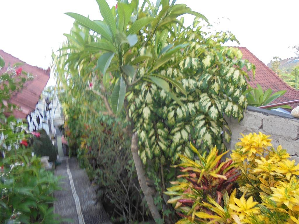 Titi Sedana Homestay Amed Zewnętrze zdjęcie