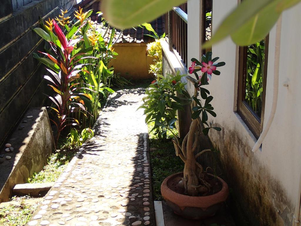 Titi Sedana Homestay Amed Pokój zdjęcie